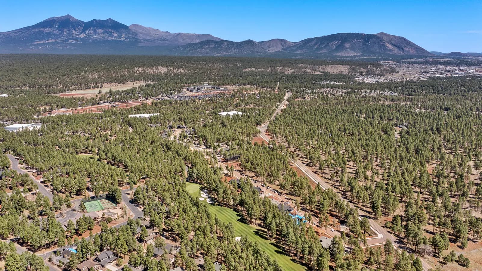 Woody Mountain Estates